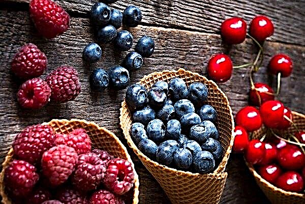 Ukrajinski proizvođači bobičastog voća planiraju povećati plaće sezonskim radnicima
