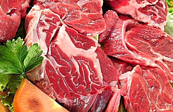 Bereitschaft Nr. 1: Russland schickt Rindfleisch auf den chinesischen Markt