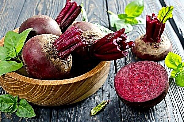 Farmers of Kherson region started selling beets of a new harvest