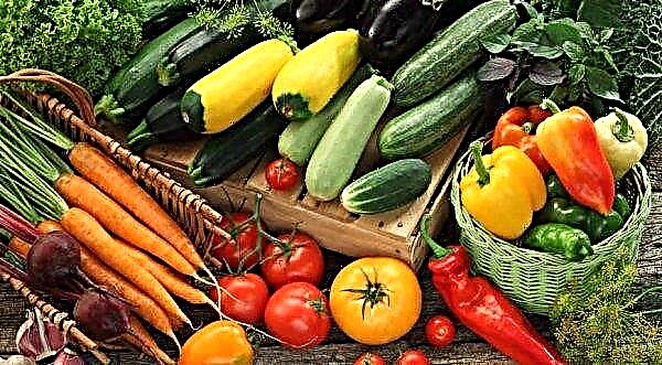 Este año, la cosecha de verduras en Ucrania será mayor que en el pasado.