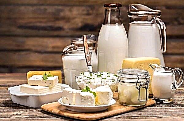 A popularidade das alternativas ao leite à base de plantas leva a uma queda nas vendas de leite