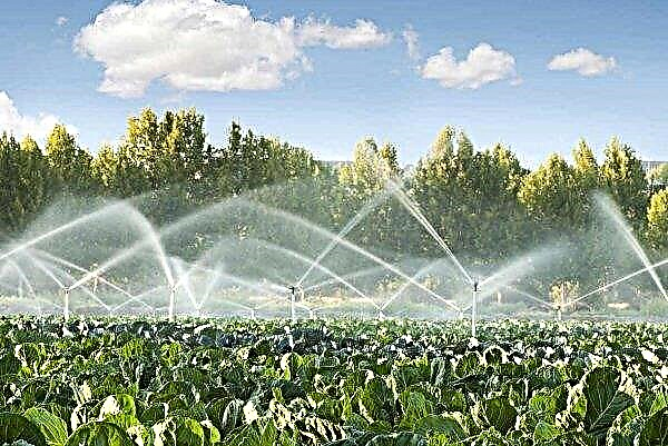 Ukrlandfarming a investi 20 millions de dollars dans les systèmes d'irrigation