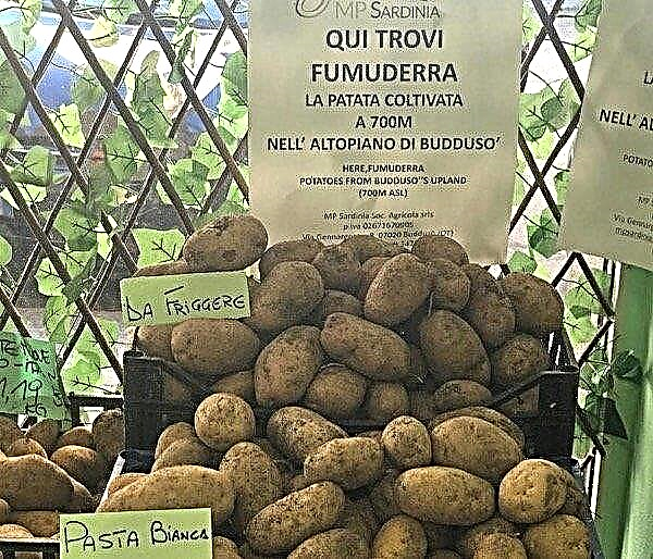 Aardappelsnoepjes - nieuw van boeren op Sardinië