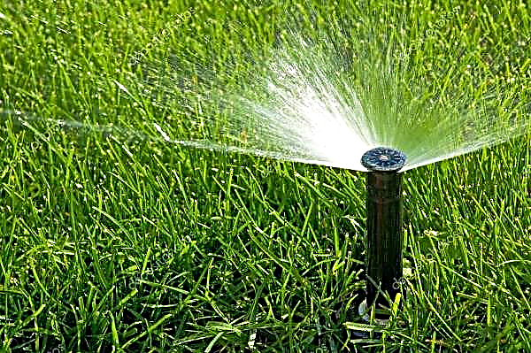The market for micro irrigation systems in the future will achieve large incomes: trends in 2020