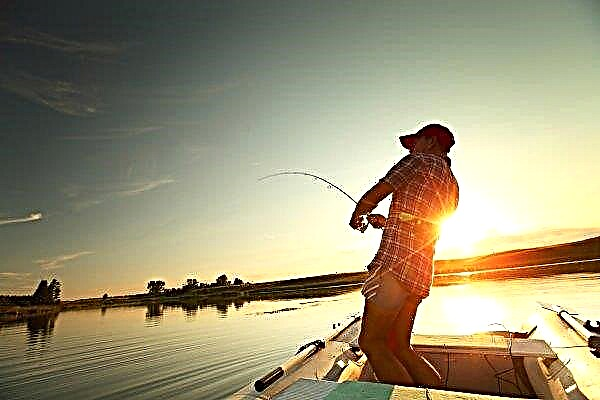 سيُسمح للصيادين في الشرق الأقصى بصيد المزيد من الأسماك