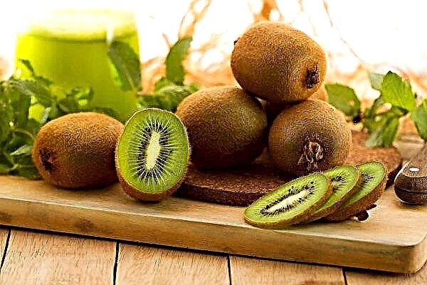 Kiwi can prevent stomach ulcer and Alzheimer's