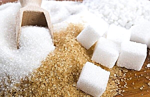 Shepetovsky Sugar Refinery moderniserer produksjonsanlegg for den nye sesongen
