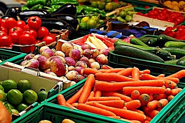 Rosja będzie tabu importować produkty rolne przez Białoruś