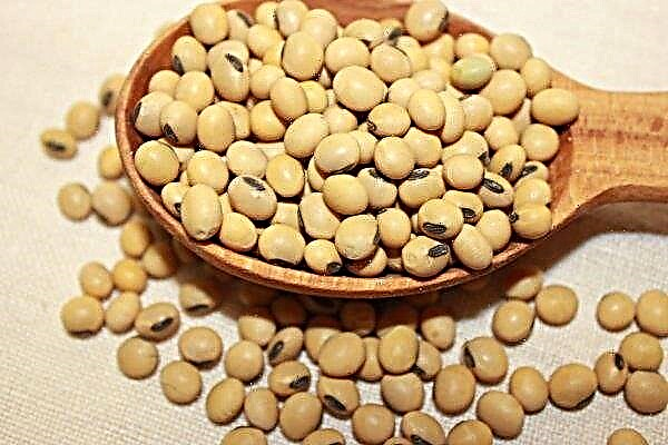 China may redirect previously purchased US soybeans to reserve