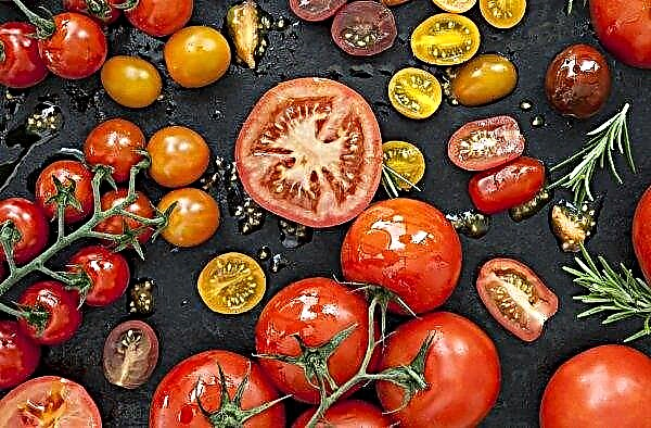 Los tomates en Ucrania, aunque son más baratos, son tres veces más caros que el año pasado.