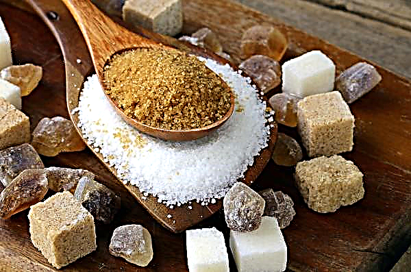 Krasnodar sugar producers beat last year’s records