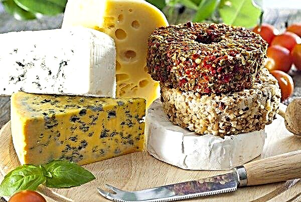 O idoso transcarpático produz queijos únicos com aditivos incomuns
