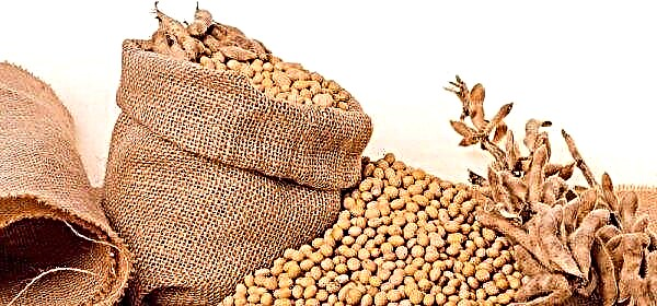 China makes the second major purchase of American soy
