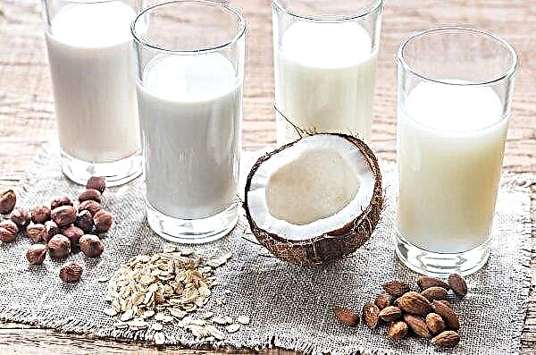 Novgorod milkmen intend to supply milk to China and Iran