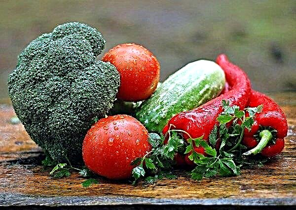 Lebih banyak sayuran ditanam di Ukraina