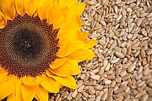 Defective sunflower seeds sprouted in 90 million losses