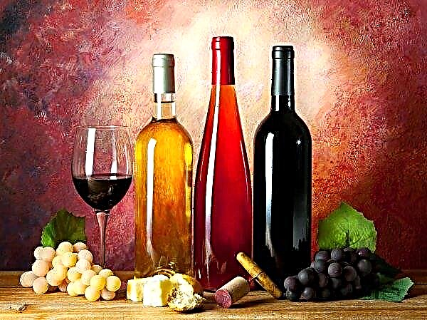 Krim-wijnmakers zonder glazen containers