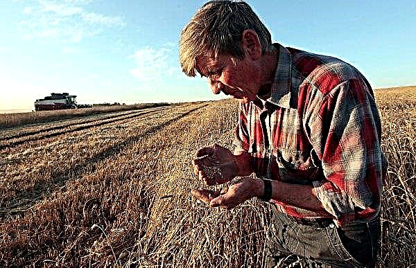 Het Amerikaanse ministerie van landbouw zegt dat Amerikaanse boeren het slachtoffer zijn van een handelsoorlog