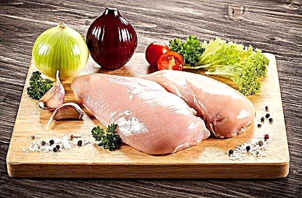 Leading chicken producer in Ukraine will receive 20 million euros from the EBRD