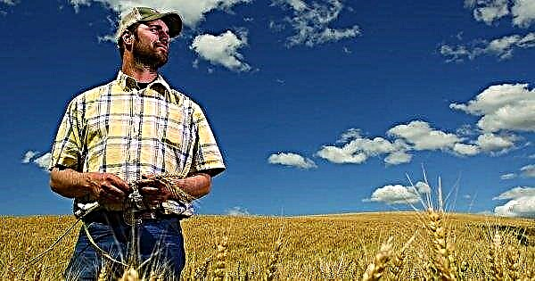 Amerikanske bønder tar til orde for programmer for stressavlastning
