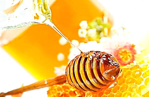 ผลิตภัณฑ์การรักษาของการเลี้ยงผึ้งได้ลดลงอย่างรวดเร็วในยูเครน