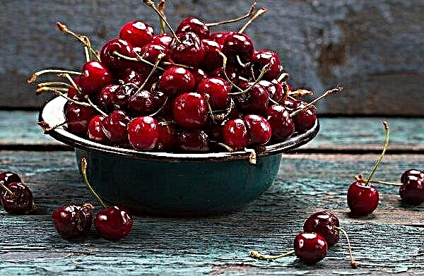 Ukraine increases import of cherries from Spain due to a delay in the season in domestic gardens