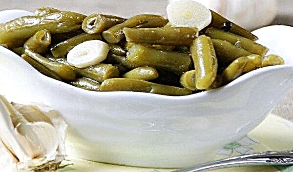 Pickled asparagus beans for the winter: recipes with and without sterilization, with mustard, in tomato, video