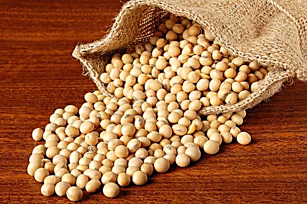 「ウエスタンバグ」は畑で大豆を直接計量します