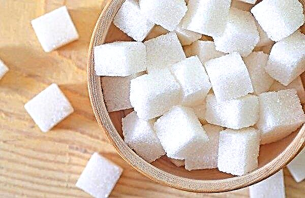 Starokonstantinovska tovarna sladkorja bo začela linijo suhega prevoza surovin