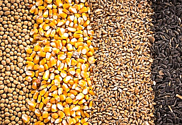 Prévisions de récolte pour 2020: la Suisse prévoit une augmentation de la superficie consacrée à la culture de blé, d'orge et de colza