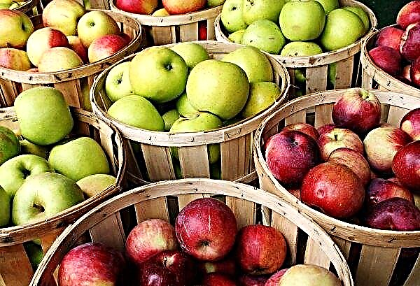 תפוחים באוקראינה עשויים להפוך לגירעון