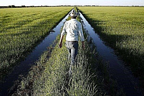 Les agriculteurs d'Orenbourg seront plus riches de trois milliards de roubles