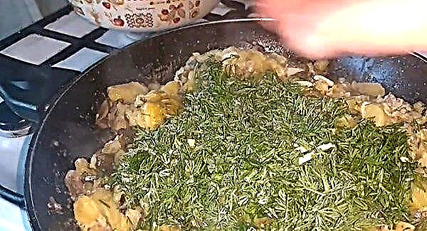 Gebakken aardappelen met bevroren champignons en uien: hoe te bakken, een eenvoudig stap voor stap recept, met foto