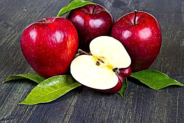Le verger de pommiers unique au Canada compte plus de 1 000 variétés de pommes