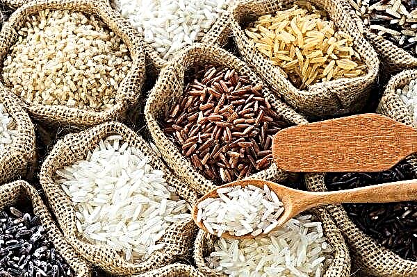 El arroz se fortificará en Perú para hacer frente a la anemia.