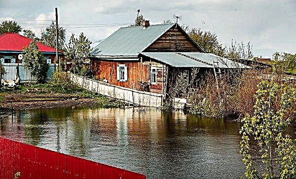 Inundațiile Amur au privat agricultura țării de un miliard și jumătate de ruble
