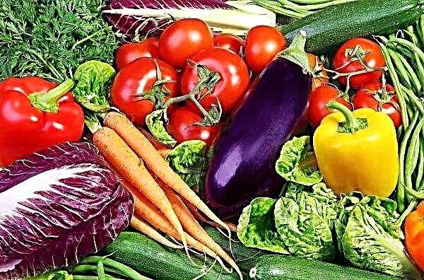 In Oekraïne wordt een prijsdaling voor groenten verwacht