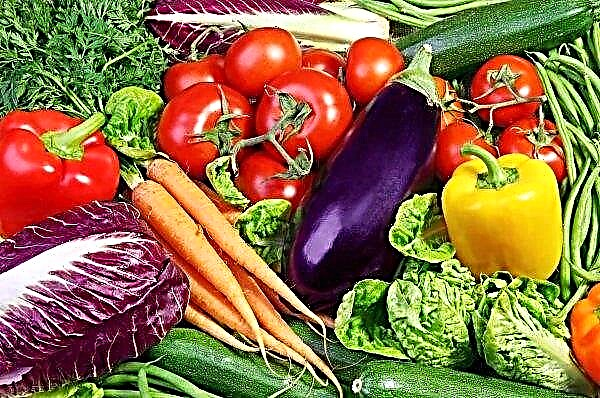 クリミアの温室で熟成した5万5千トンの野菜