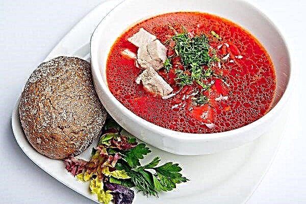 Ukrainian borscht plugged in the belt of "colleagues" from Japan and Asia