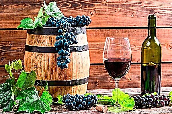 Semua wilayah Ukraina sudah cocok untuk pembuatan anggur