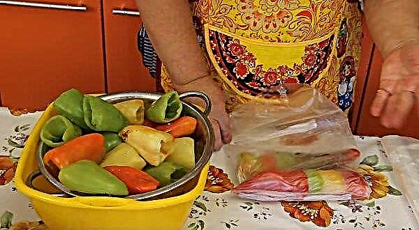 How to freeze bell peppers for the whole winter in the freezer for stuffing