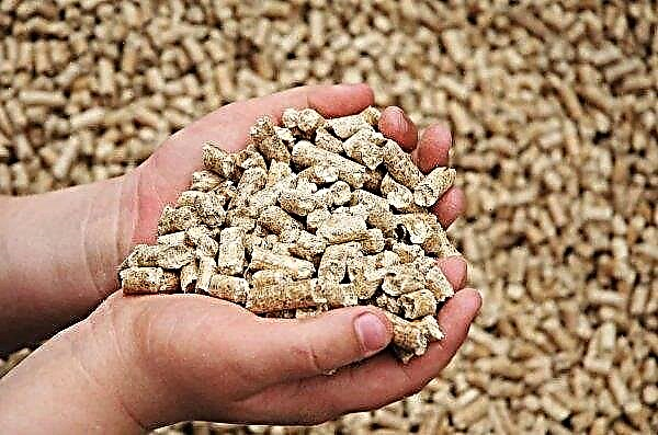 BP Ventures invests in animal feed technology from natural gas