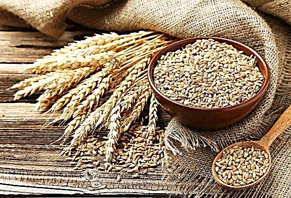 Russia does not skimp on grain for the Chinese