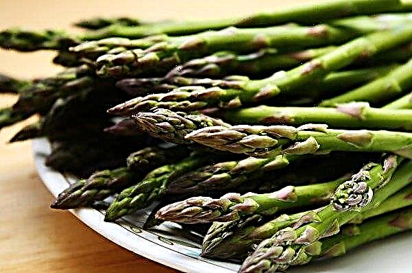Scientists called asparagus season in Ukraine successful