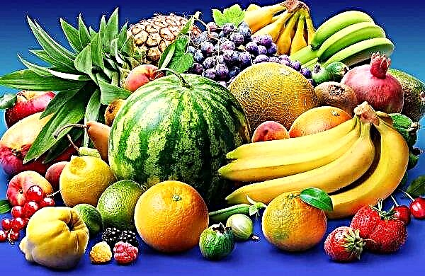 Uzbekistan admits the presence of GMOs in vegetables