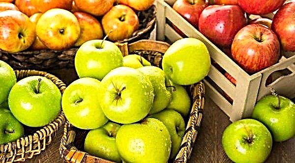 Nowojorski przemysł jabłkowy wykazuje wielki efekt ekonomiczny