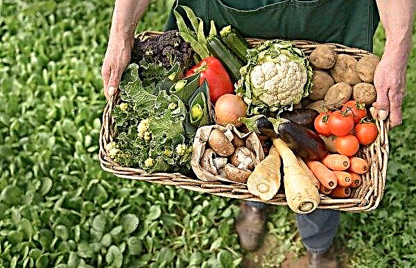 Certification of organic producers of Ukraine involved in 17 foreign bodies