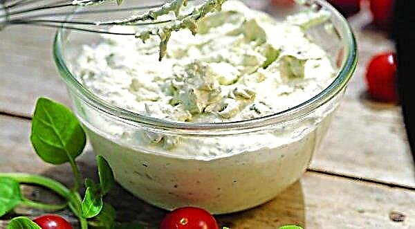 Kuban milkmen will provide Russia with high-quality cream cheese