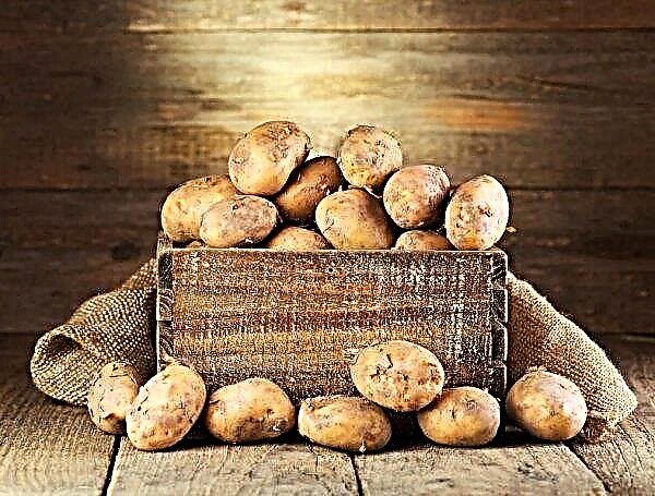 In the southern regions of Ukraine there was a collapse in prices for young potatoes