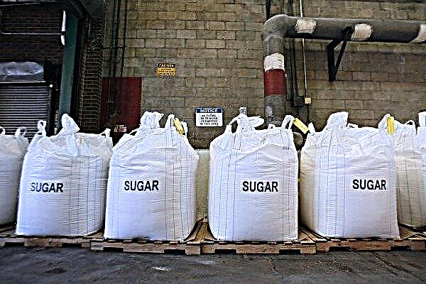Previsão de exportação de açúcar da UE